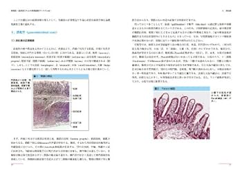 病理医・臨床医のための病理診断アトラス “彩の国さいたま”病理診断セミナ-からのメッセ-ジ ｖｏｌ．３/ベクトル・コア（単行本） 病理医・臨床医のための病理診断アトラス Vol.1【消化器・呼吸器
